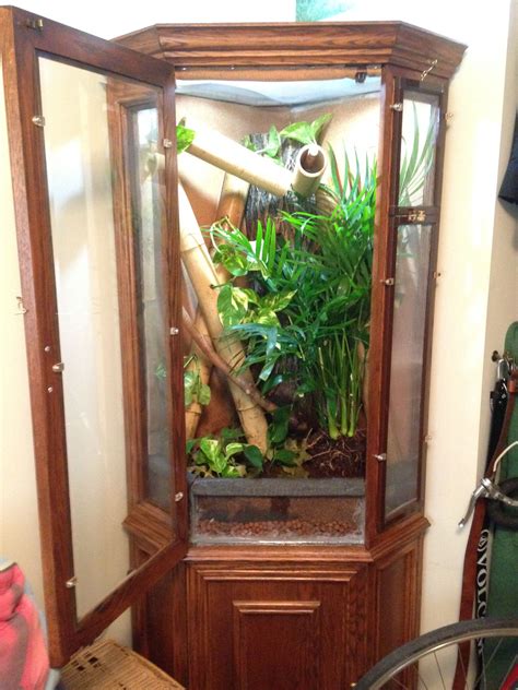 reptile cabinet